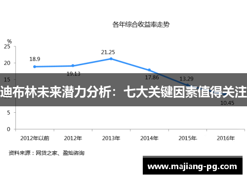 迪布林未来潜力分析：七大关键因素值得关注