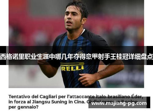 西格诺里职业生涯中哪几年夺得意甲射手王桂冠详细盘点